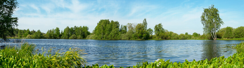 Summer sunny scene woth green trees and blue lake