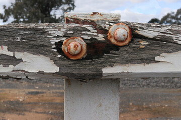 rusty painted round bolts and washers on weathered wooden fence