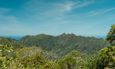 Waianae Range , Mount Kaala Trail , Oahu, Hawaii