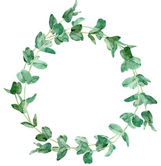 Fototapeta premium Watercolor round frame of eucalyptus branches. Hand-drawn greenery illustration. Template for your text.