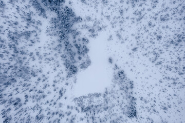 Neitokainen winter day 01