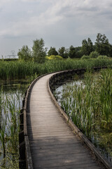 Wooden pier on french wetland. Cloudy sky. Nature.