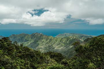 Fototapeta na wymiar Waianae Range , Mount Kaala Trail , Oahu, Hawaii