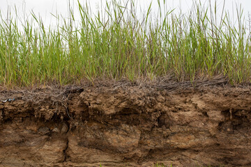 Soil cut due to landslide.