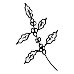 coffee doodle artb dd ww herb isol