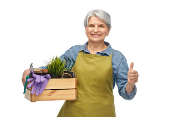 gardening, farming and old people concept - portrait of smiling senior woman in green apron holding wooden box with garden tools showing thumbs up over white background