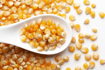Macro Close up organic yellow corn seed or maize (Zea mays) on a white ceramic soup spoon. Top view,  over gradient background of itself.