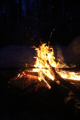 A beautiful flame from a big bonfire in the forest.