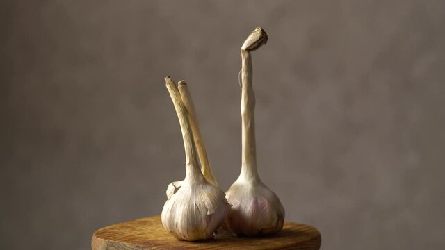 Garlic heads. Cloves of garlic on a wooden board. Dark background. Healthy vegetables. Vitamins. Rotation of the object. Close-up.