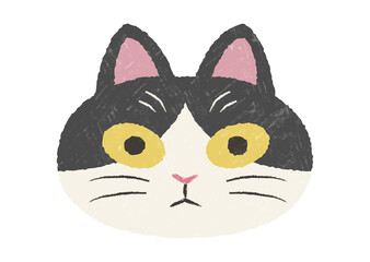 ぶさかわハチワレ猫の手描き風テクスチャ付きアイコン