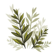 Olive branch, branches. Trees and lemas, vegetables and herbs. Olives are delicious and healthy. Healthy food. Olive oil. Eco food. Olive body mask. Foliage, south. Southern vegetable berry and fruit.