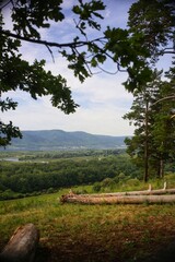 landscape with trees and mountains