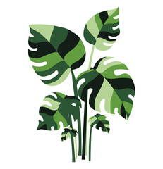 Vector set monstera leaves to nature decoration leaves.