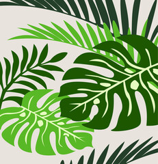 Vector set monstera leaves to nature decoration leaves.