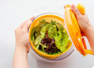 Top view of woman hands holding and drying salad in spinner tool bowl, healthy leafy greens inside....