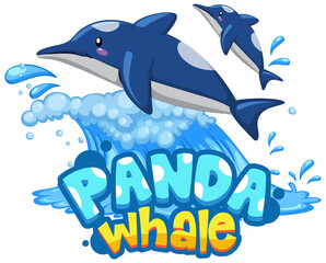 Dolphins cartoon character with Panda Whale font banner isolated