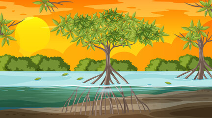 Mangrove forest landscape scene at sunset time