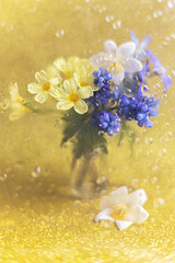 Bouquet of yellow, white and purple primroses on a gold background behind glass with rain drops