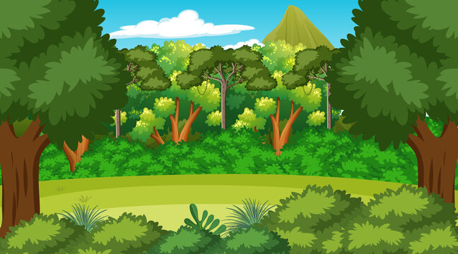 Forest scene with various forest trees