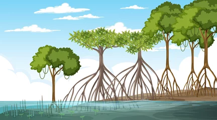 Wandcirkels plexiglas Mangrove forest landscape scene at daytime © blueringmedia