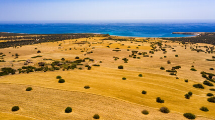 Akamas Peninsula from Paphos, Cyprus, aerial view of sea coastline, wild beach, yellow landscape,...