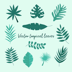 Vector set of tropical leaves