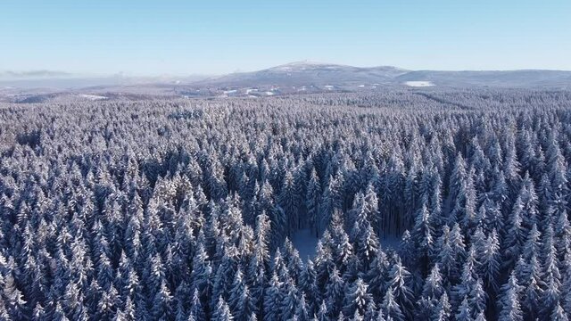Drone flight over snow-covered forest in the Harz mountains, Lower Saxony, Germany. Clear blue sky on a cold winter day. In the distance Mount Brocken in Saxony-Anhalt.