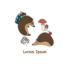 Hand drawn two hedgehogs looking for something to eat