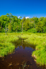 Beautiful  and wild river in the province of Quebec, Canada