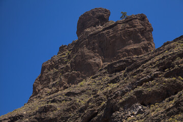 Fototapeta premium Gran Canaria, landscape of the central part of the island, Las Cumbres, ie The Summits, hiking route Tejeda - Roque Bentayga 