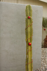 Weihnachtsbaum