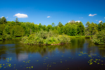 Fototapeta premium Beautiful and wild river in the province of Quebec, Canada