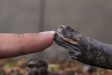 Contact with nature. A finger touching a tree branch.