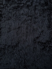 Black animal wool texture background. Close-up texture of plush fluffy fur rug for product backdrop, straight view