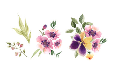 botanical set of watercolor garden flowers and bouquets on white background, hand painted.