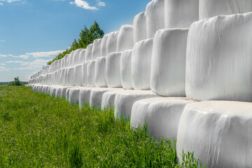 Country field with bales of hay wrapped in plastic bags on a sunny day against a blue sky