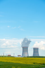Belarusian nuclear power plant in Ostrovets on a sunny summer day, Belarus 2021. Vertical photo