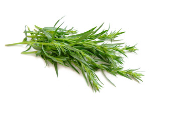 Tarragon twigs. Spicy-aromatic, tonic plant. Fresh shoots of green tarragon isolated on a white background. - obrazy, fototapety, plakaty