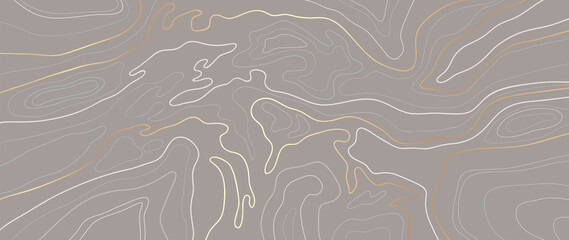 Luxury gold abstract line art background vector.  Mountain topographic map background with golden lines  texture, 17:9 wallpaper design for wall arts, fabric , packaging , web, banner, app, wallpaper. © TWINS DESIGN STUDIO
