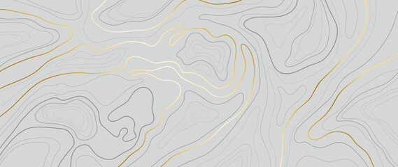 Luxury gold abstract line art background vector.  Mountain topographic map background with golden lines  texture, 17:9 wallpaper design for wall arts, fabric , packaging , web, banner, app, wallpaper.
