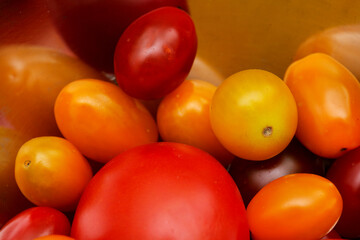 Different colors and sizes of tomato in a metal bowl