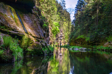 Wild gorge in the Bohemian Switzerland National Park. Beautiful mysterious valley.