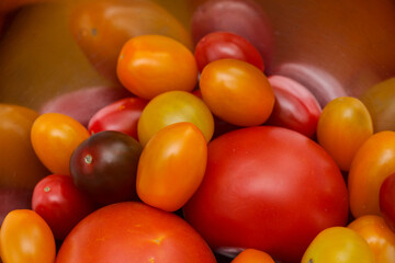 Different colors and sizes of tomato in a metal bowl
