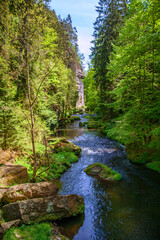 Obraz premium Wild gorge in the Bohemian Switzerland National Park. Beautiful mysterious valley.