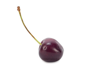 A ripe sweet cherry berry lying with the handle upwards