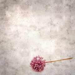 Textured stylish square old paper background with wild leek flowers