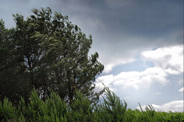 Meteorological forecast of bad windy weather