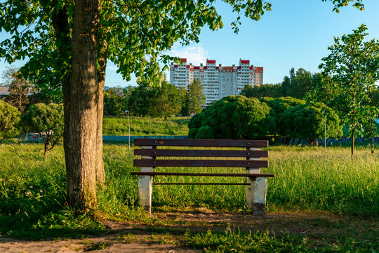 Bench in a green city park with a view of high-rise buildings at sunset in St. Petersburg
