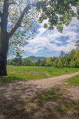 View of the park with a path.