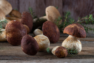 Fresh boletus mushrooms on a wooden background still life